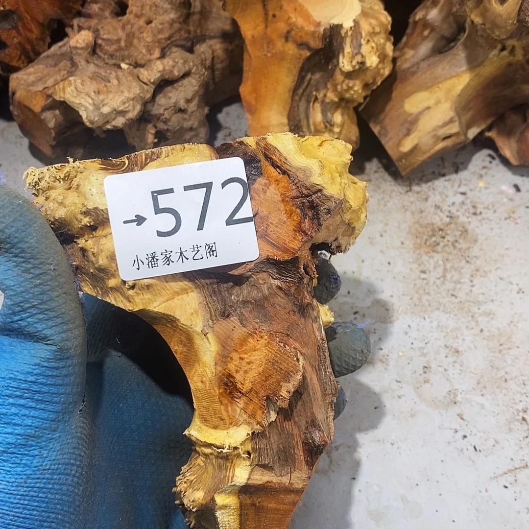 香榧木一*红火琉璃……火琉璃