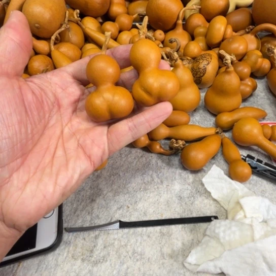 小****小绵羊的两把金蝉两把金蟾葫芦