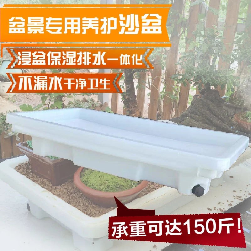 盆景专用养护沙盆浸盆保湿排水一体多功能盆栽养护台肥料通用型