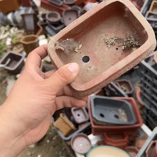 我在上课你呢啊么快去上课啦哦哈