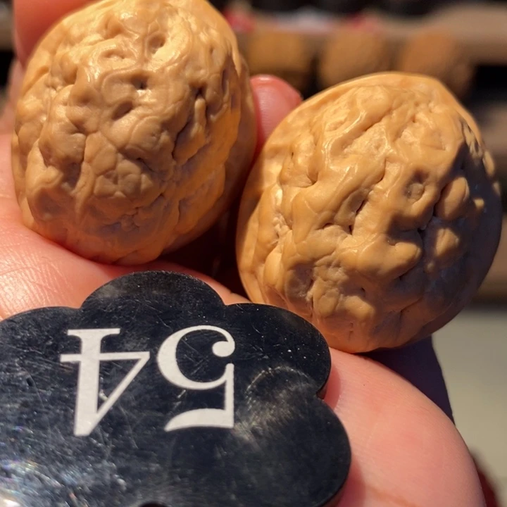 铁核桃赤脚蛙31尺寸