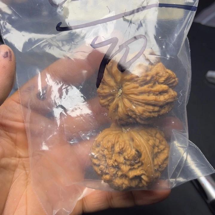 c***c文玩核桃吊坠出科技部看看美女吧