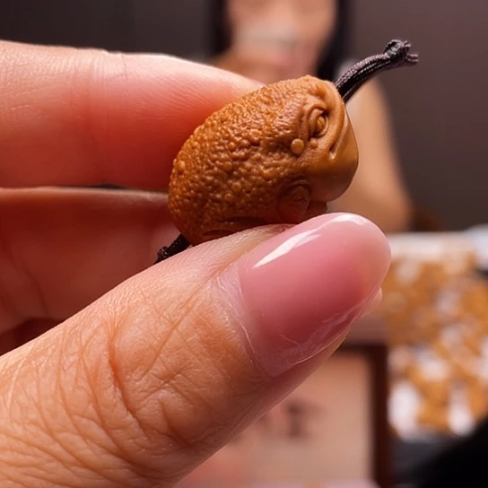 橄榄核的颜色和颜色