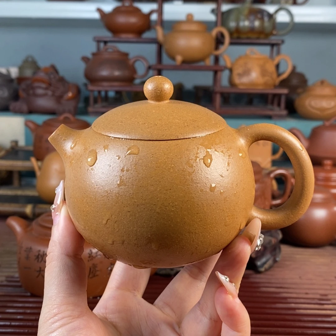 西施 黄金段 240