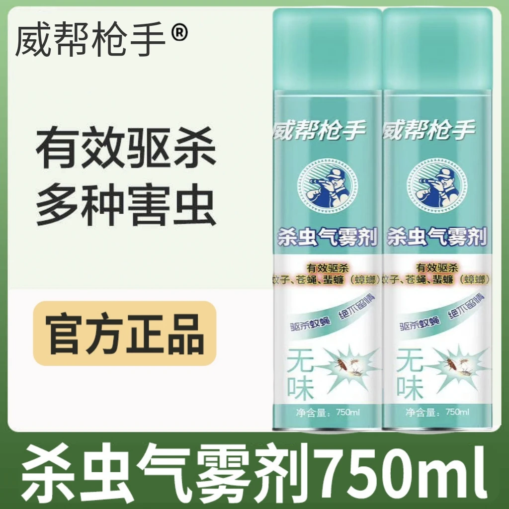 【拍一发二】2瓶装杀虫气雾剂750ml灭杀虫剂室内灭苍蝇蚊子药大