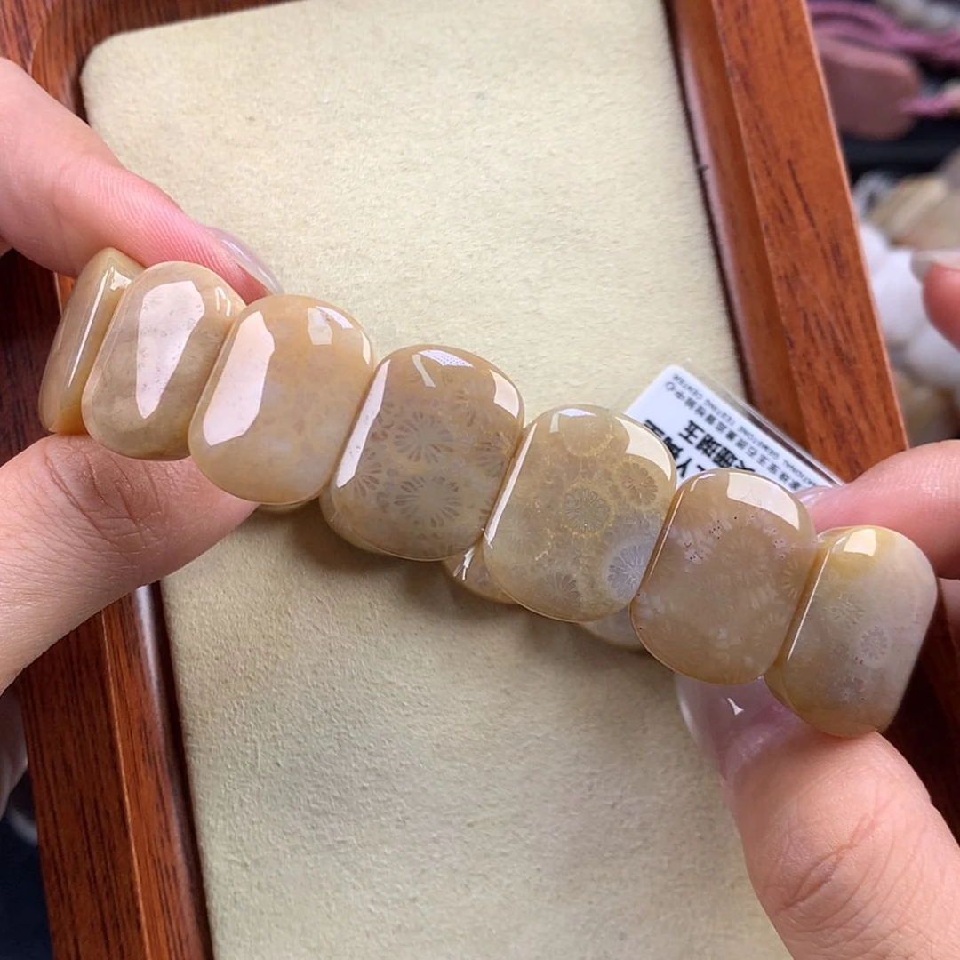 【闪购商品】硅化珊瑚（珊瑚玉）未镶嵌颈饰大放漏11号