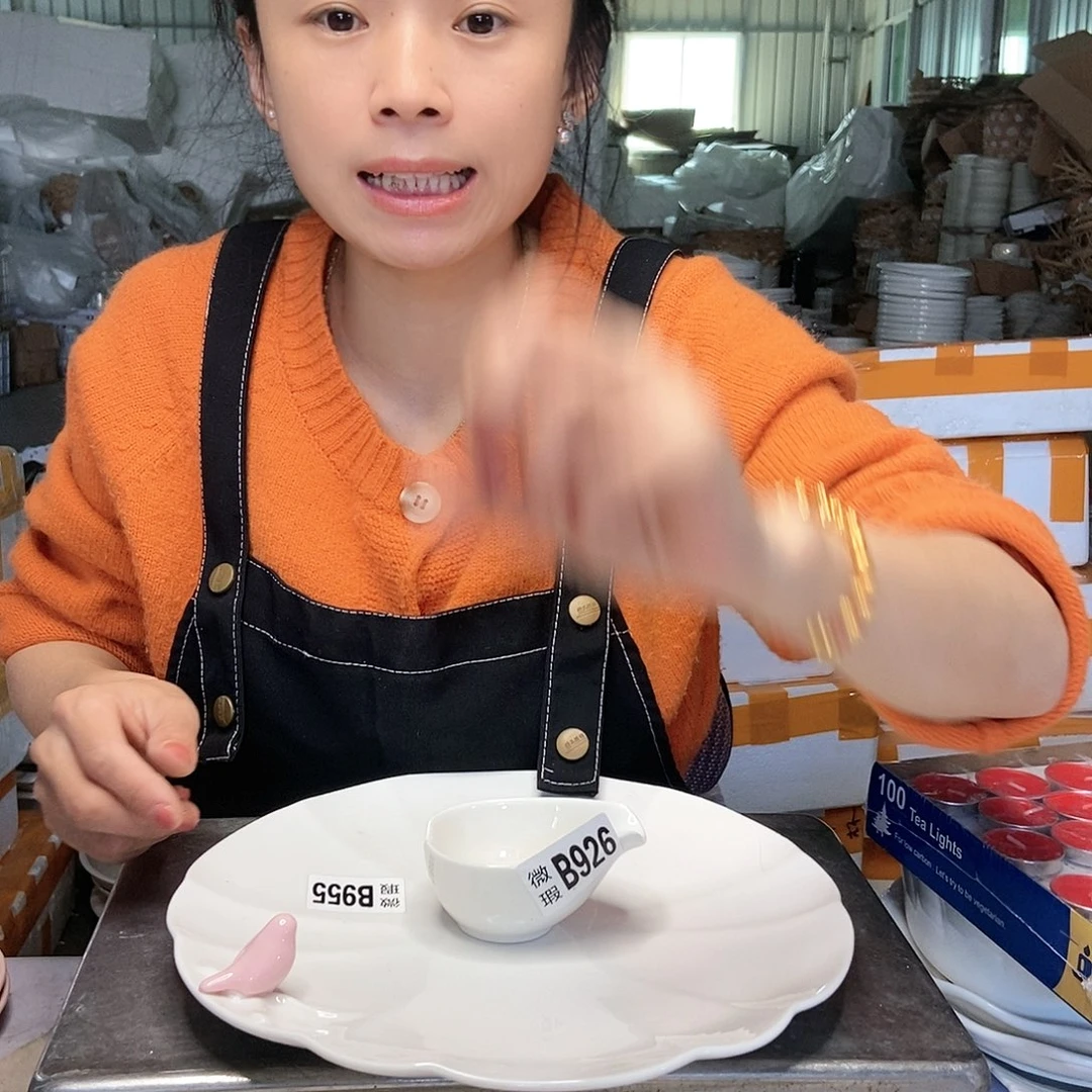 【闪购商品】碟小鸟两个加料碟工厂库存微瑕产品