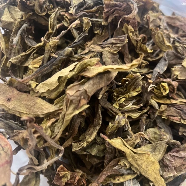 冰岛老寨33号23年春茶黄金叶散料