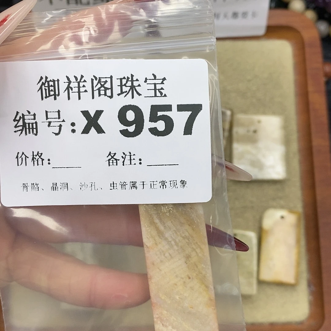 硅化珊瑚（珊瑚玉）颈饰未镶嵌冬*