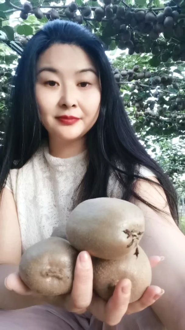 新鲜绿心猕猴桃爆汁超甜薄皮无毛产地直发