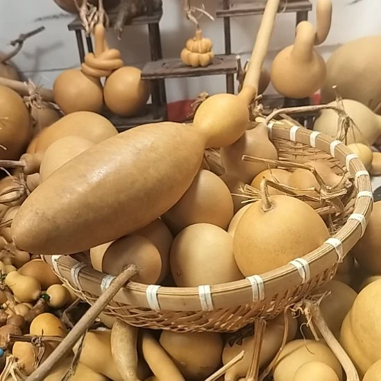 宁***诺直播间专供链接葫芦链接