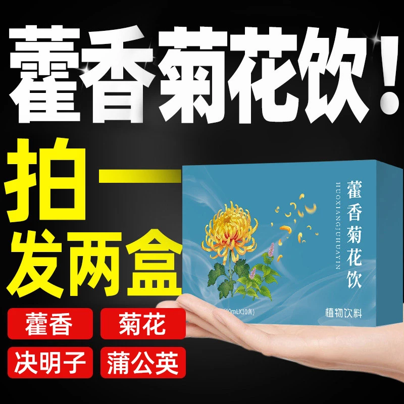【拍一发二】藿香清口汤草本配方蒲公英清口饮晨起异藿香菊花饮夏味