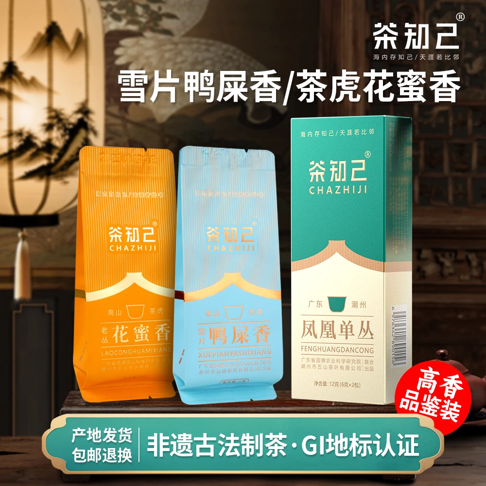 高花香单丛雪片鸭屎香/茶虎蜜兰香12g品鉴装潮州高山凤凰单丛茶叶