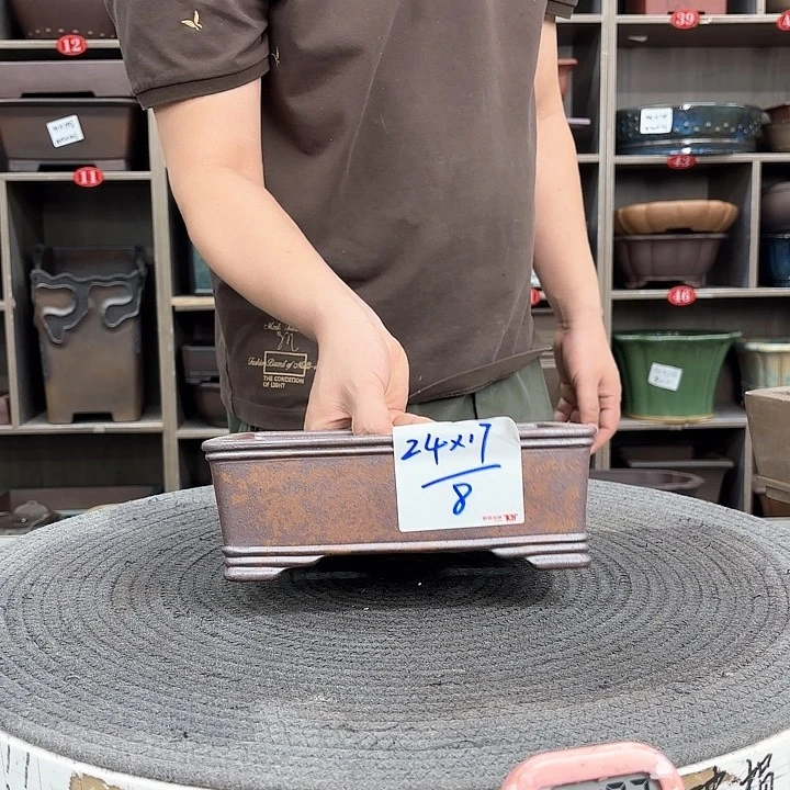 紫砂花盆紫砂的花也太漂亮