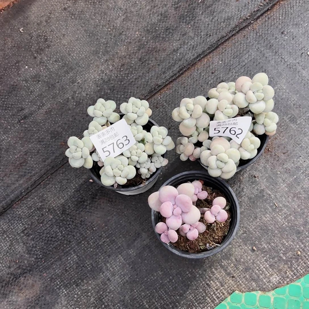 9号我们的确是一个5763.5764