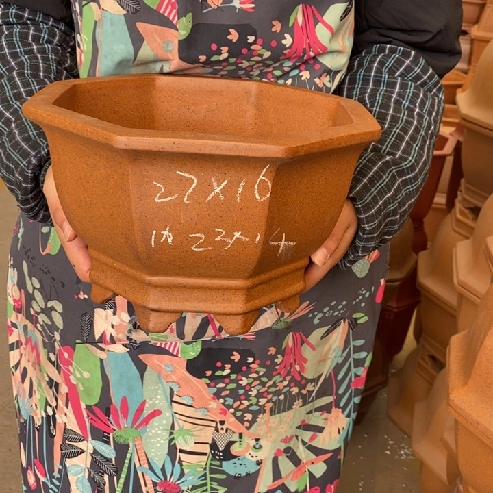 紫砂花盆只顾看手机的