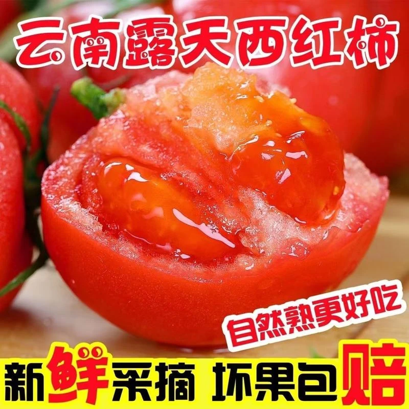 农家自种现摘西红柿农家草莓番茄生吃沙瓤当季整箱薄皮果味批发