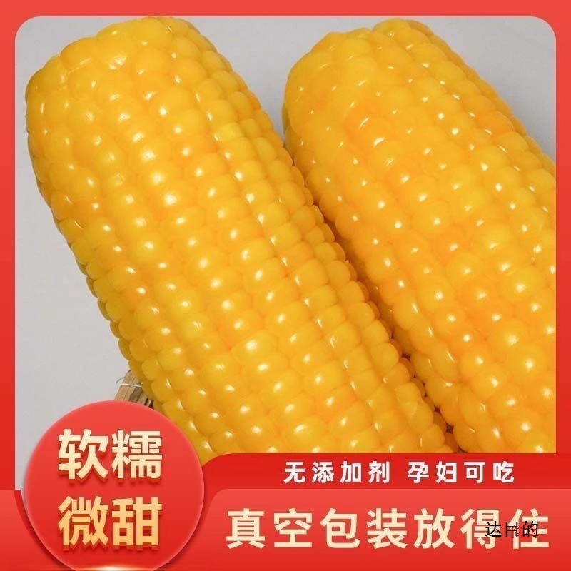 【试吃3根】整箱5-6斤 东北精选糯玉米黄糯玉米真空包装