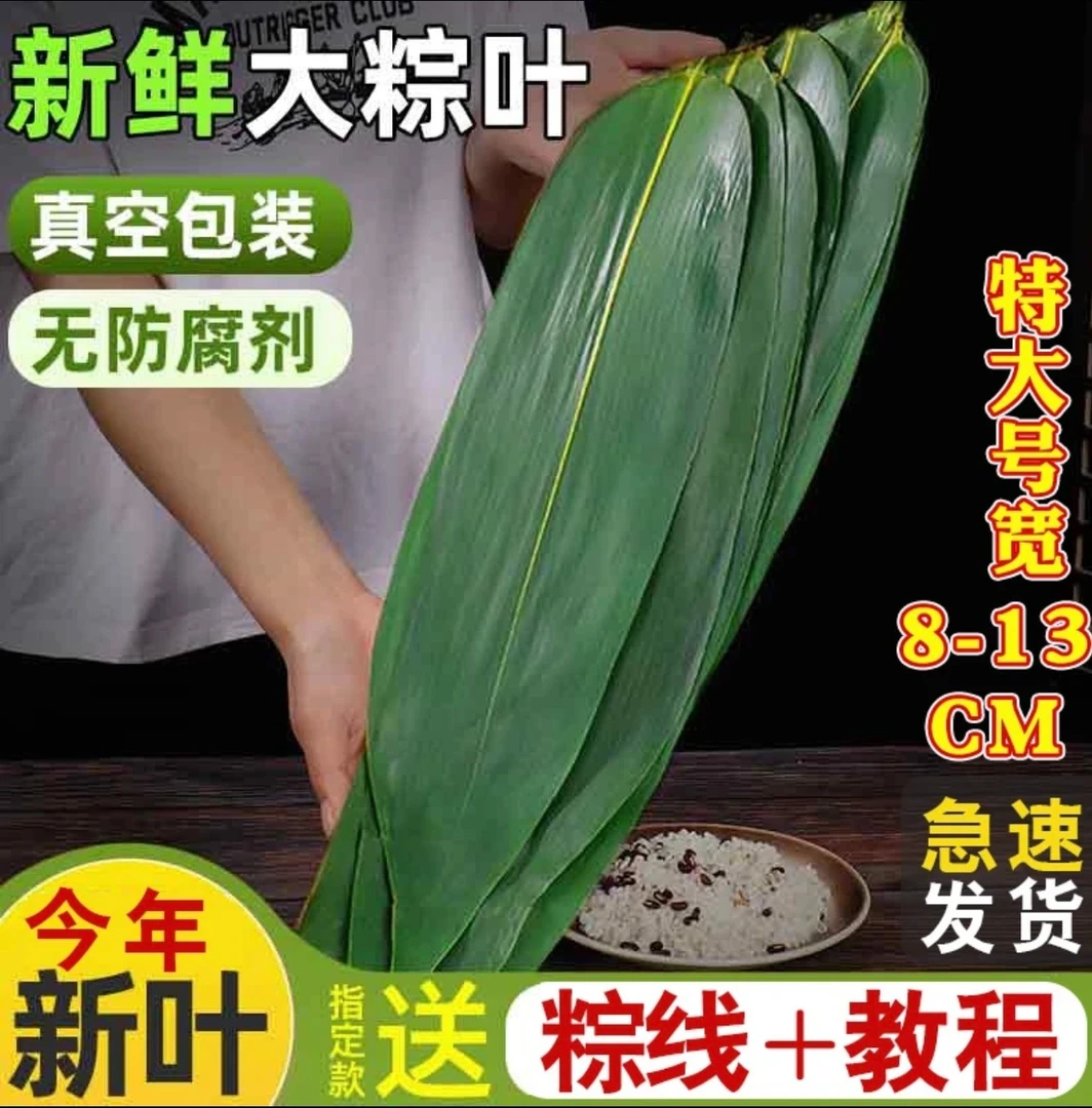 【喜迎端午】粽叶新鲜家用端午包粽子叶子特大号箬叶真空装