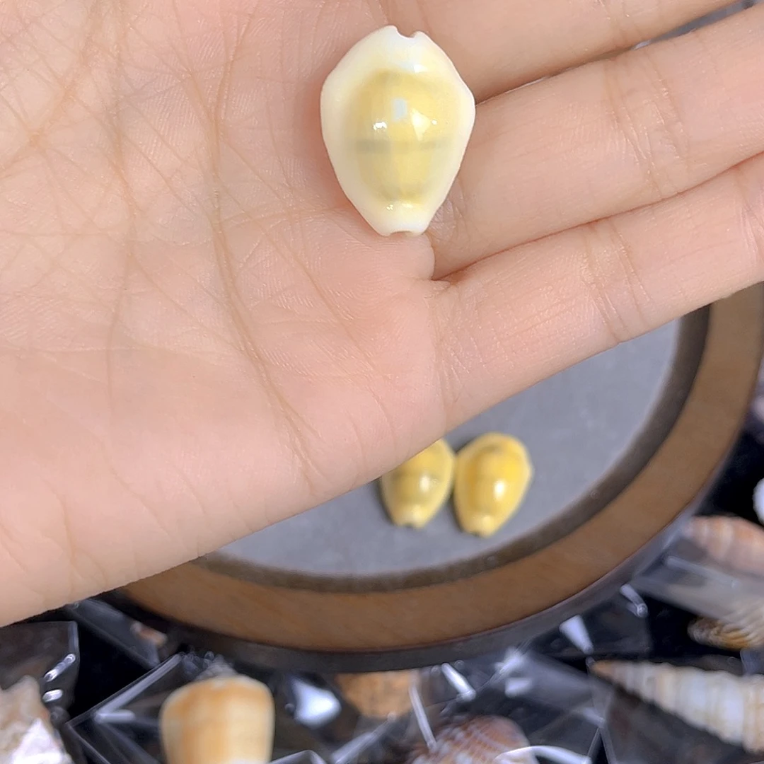 大理石磁石动***子天然贝壳特价款不退不换