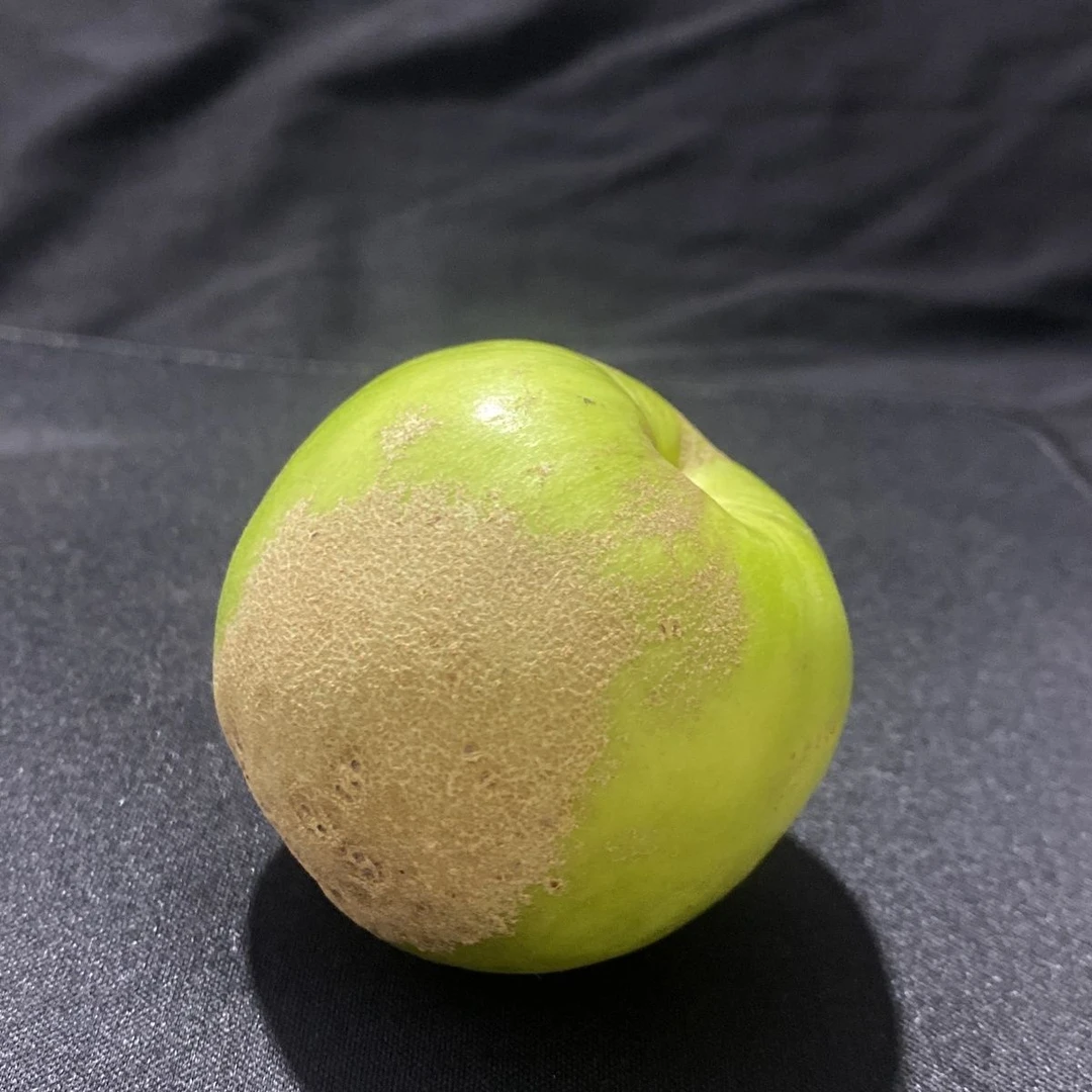 大理山货集市苹果枣