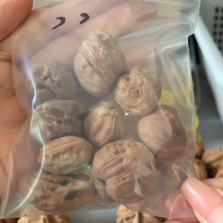 ，***，文玩核桃吊坠异形单只，有瑕疵