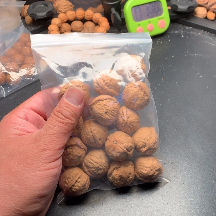 文玩核桃吊坠早**。野生名品小核桃散籽