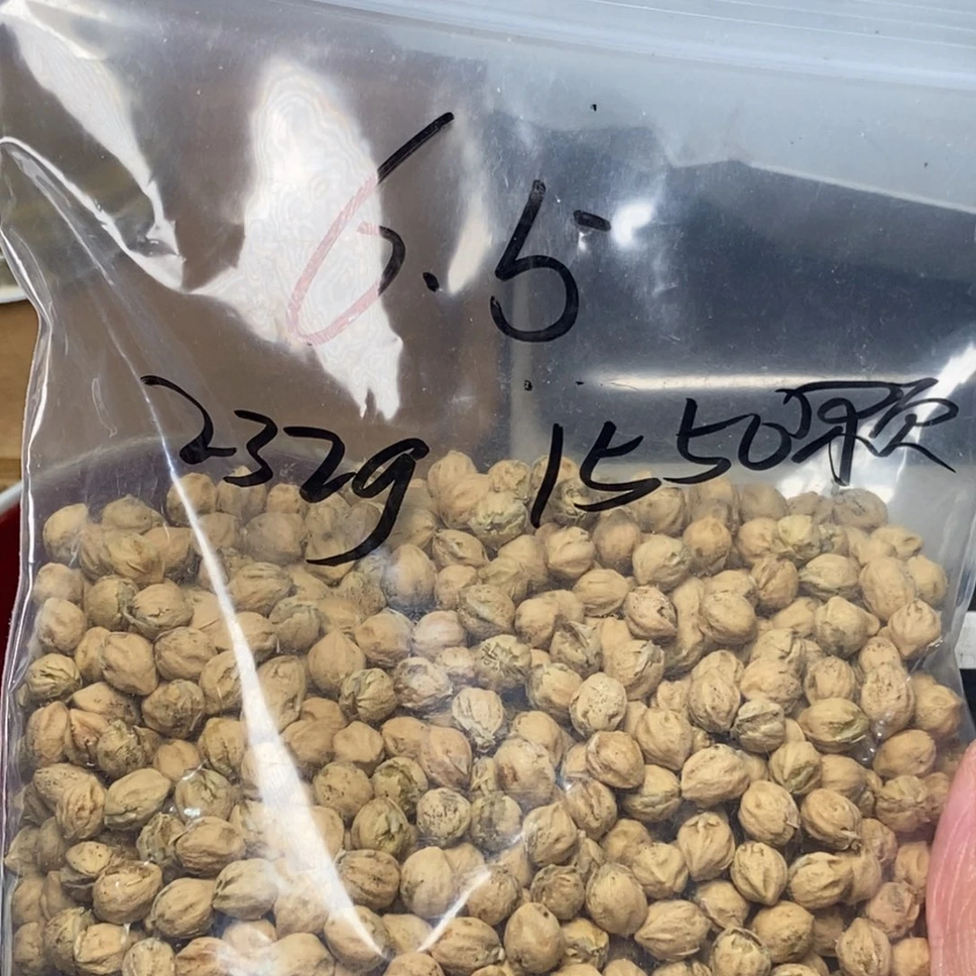 柏香籽/百香籽吊坠