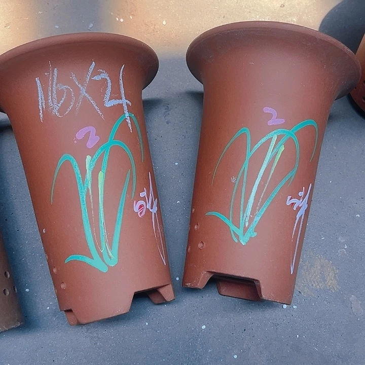 紫砂紫砂紫砂紫砂紫砂紫砂紫砂