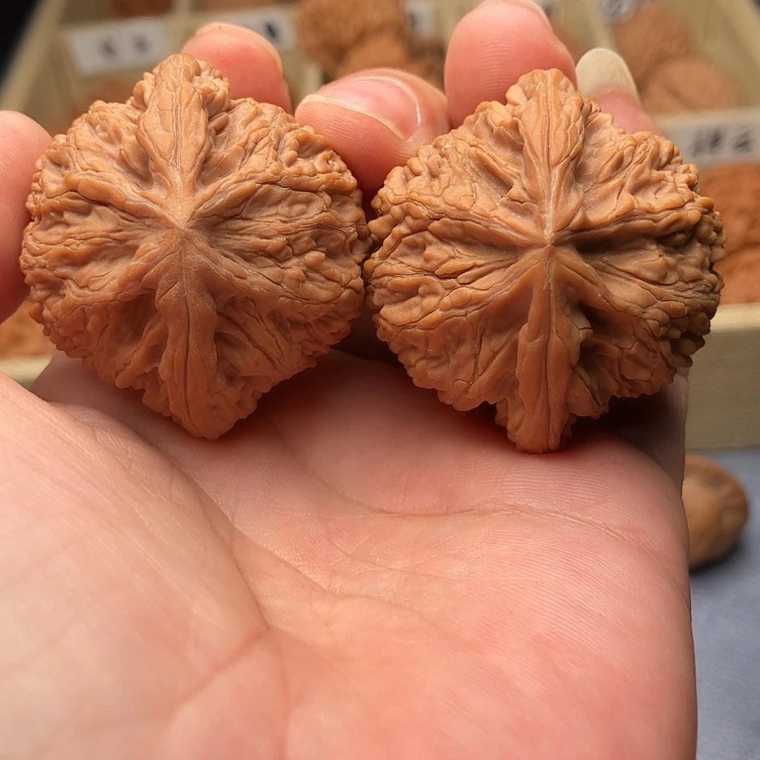把件文玩核桃蛟龙狮子头