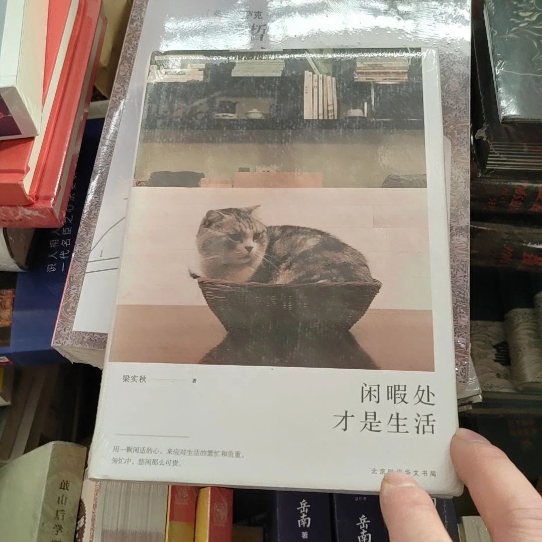 闲暇处才是生活梁时清老师写的一本书