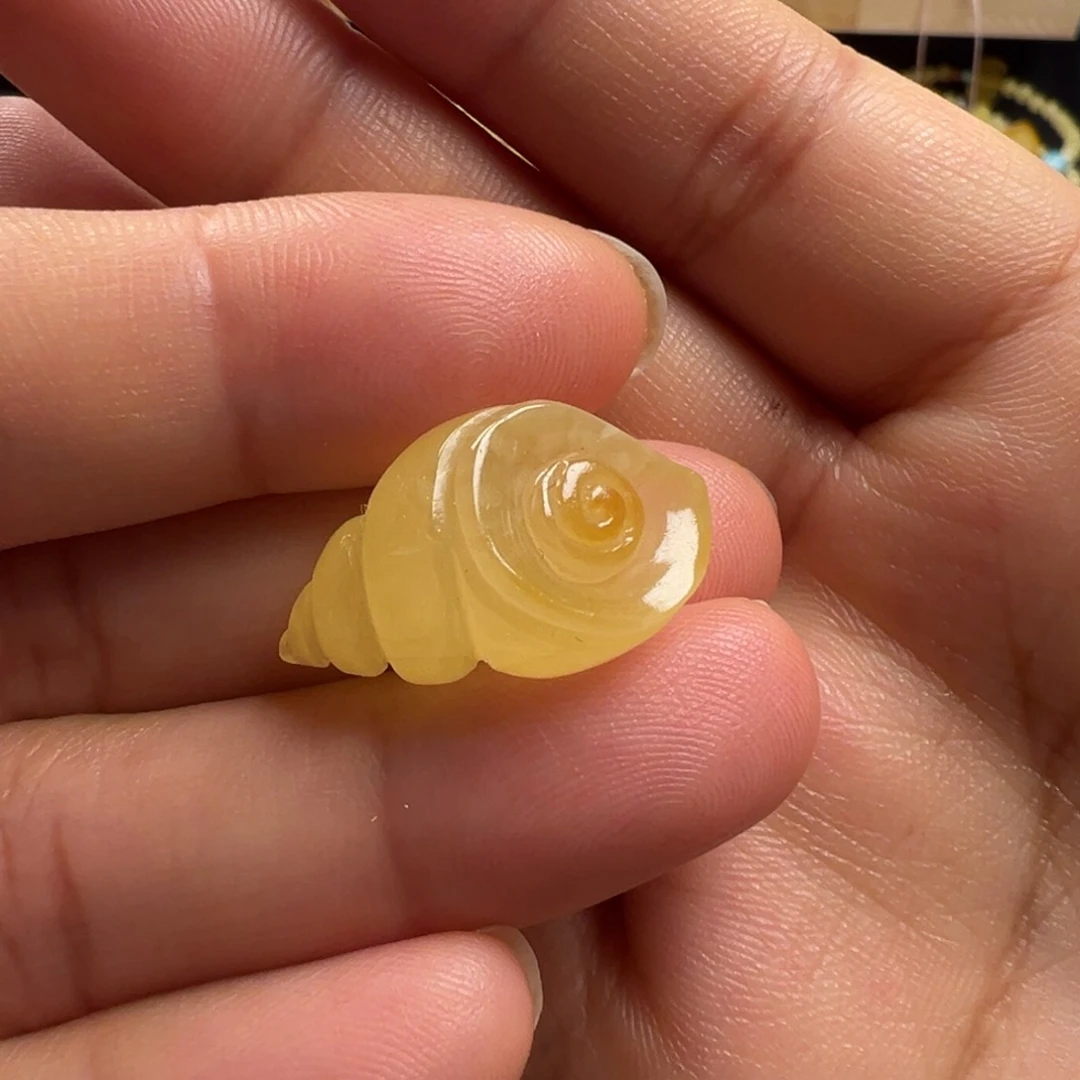 蜜蜡颈饰未镶嵌海螺（打孔不退换）