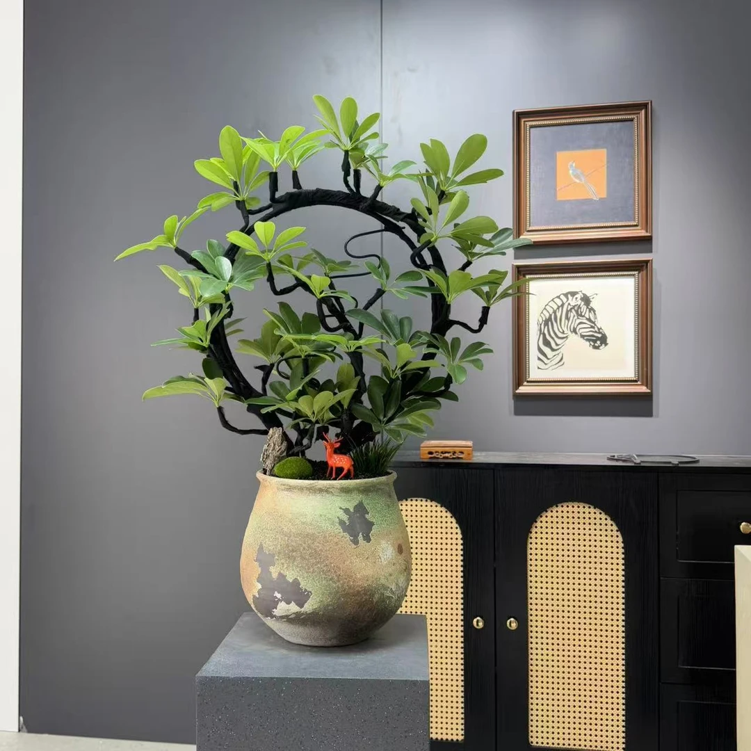 鸭脚木盆栽室内外绿植八方来财旺宅装饰植物