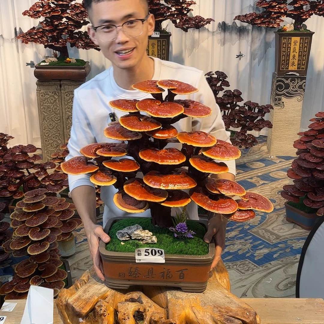无花朵8888888888888