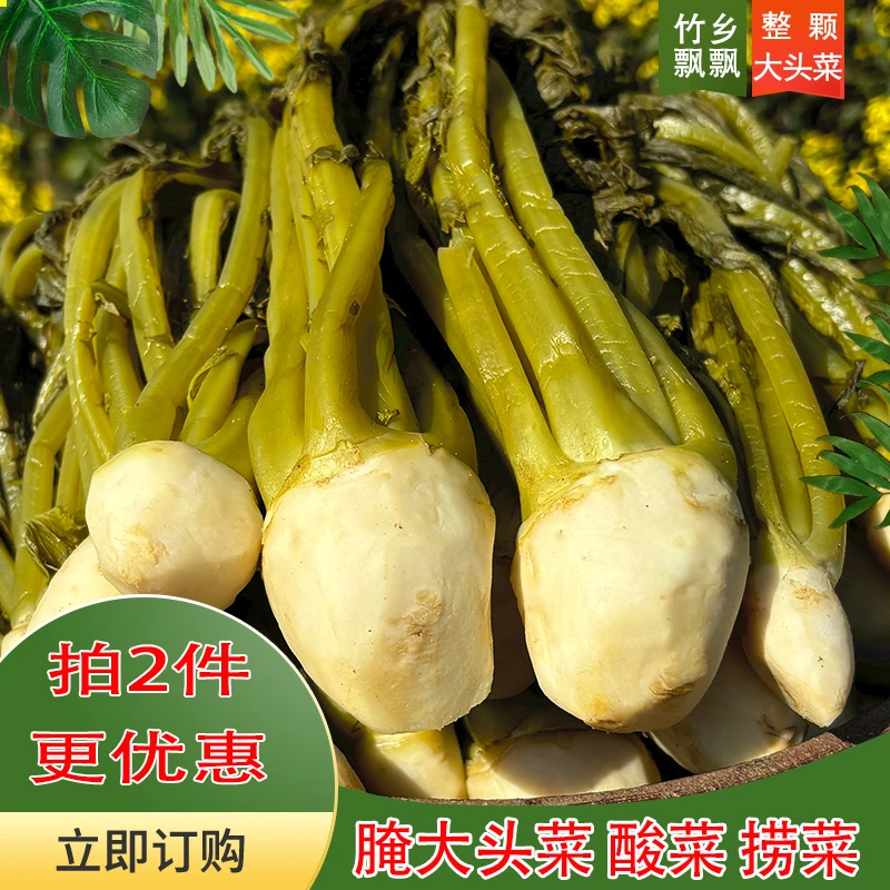 竹乡飘飘当季新鲜腌大头菜苗整棵酸菜腌制泡菜黄菜拌面下饭开胃菜