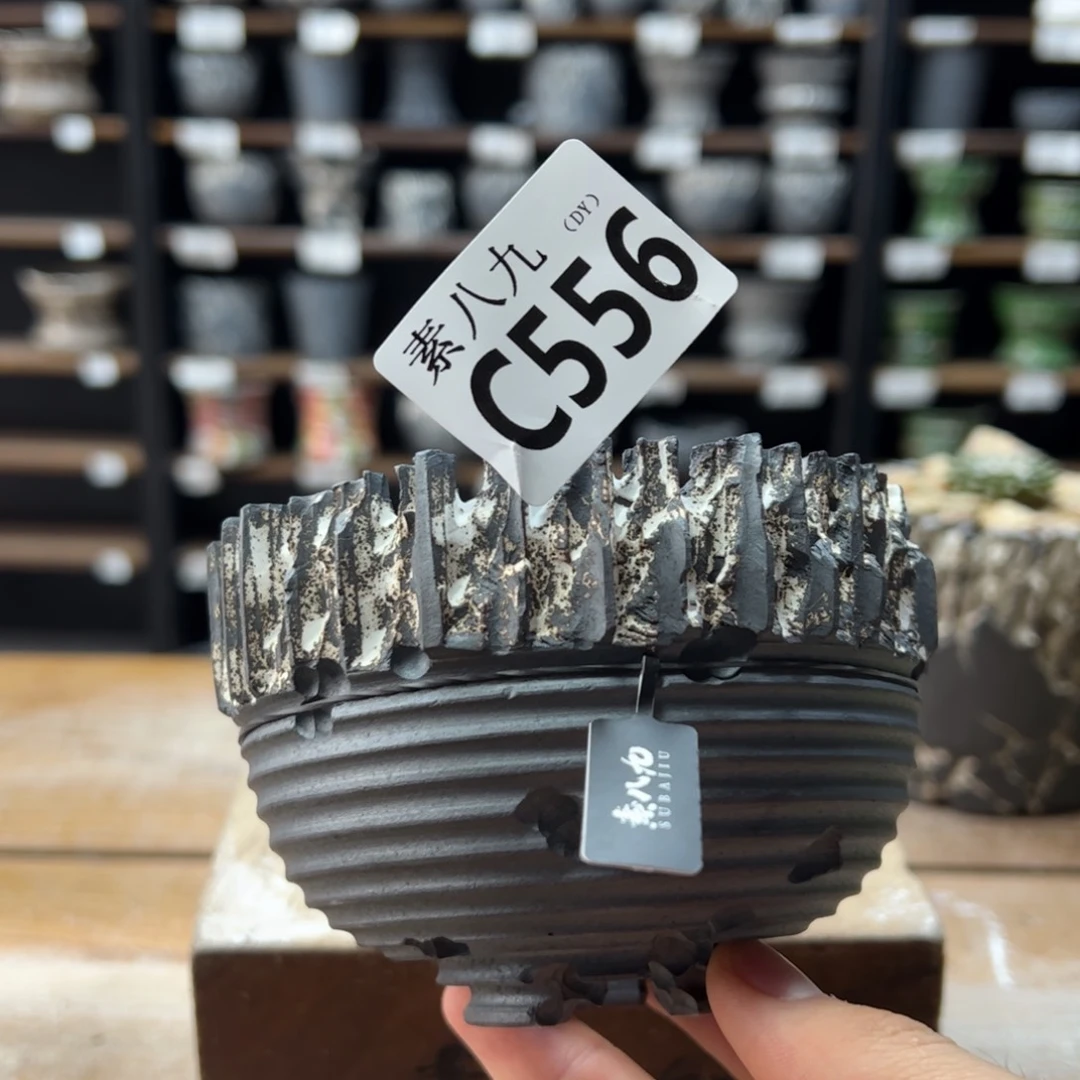 素八九陶瓷内口9.5高7.5
