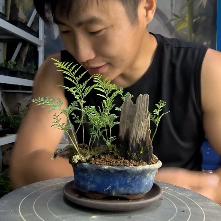 水**萄中青园艺一物一拍166