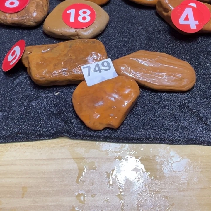 张***、香榧木木头人和小鸟也太