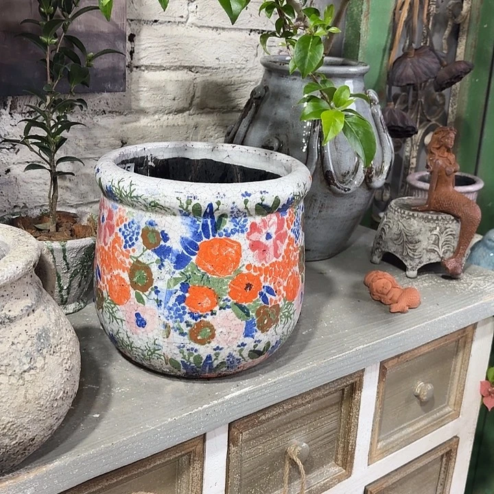 许纯的花房 孤品003