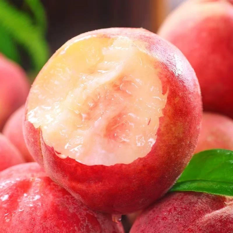 【果园直发】山东蒙阴金秋红蜜桃新鲜现摘爆甜多汁当季水果