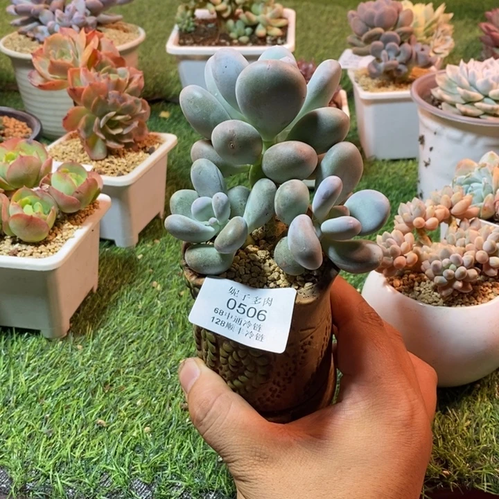 0506啊啊啊啊啊啊啊啊啊啊