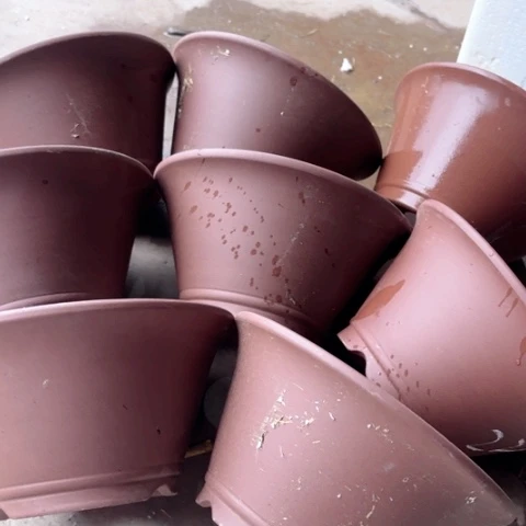 100-8。    22-11。