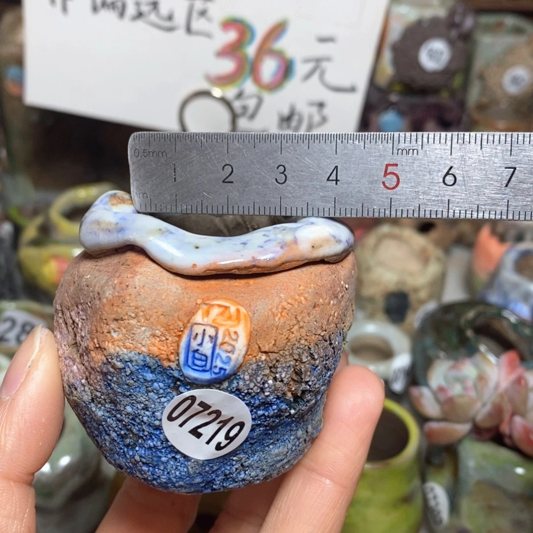 花盆拍3送一个小礼物