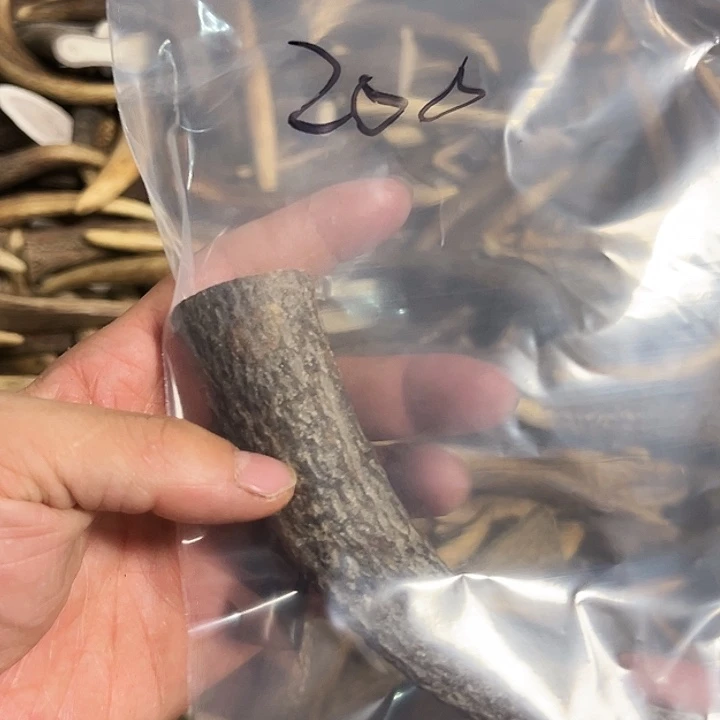 香榧木木雕款鹿角