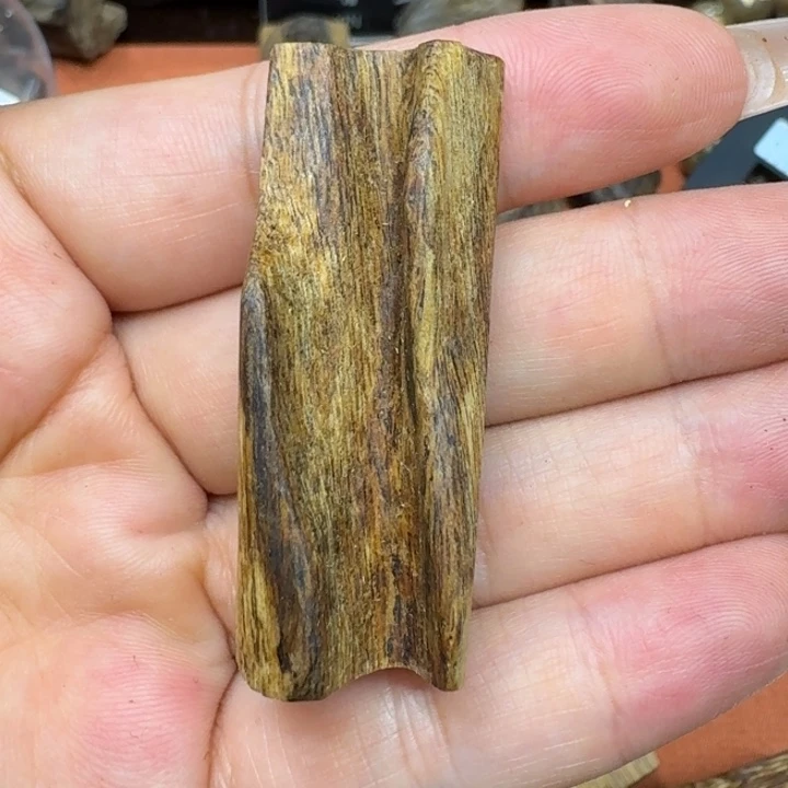 大叶紫檀（黑酸枝木类）