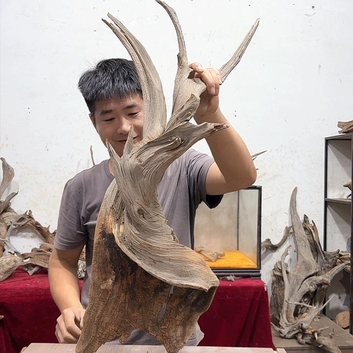 柏木崔****人我们的生活是以自己的方式