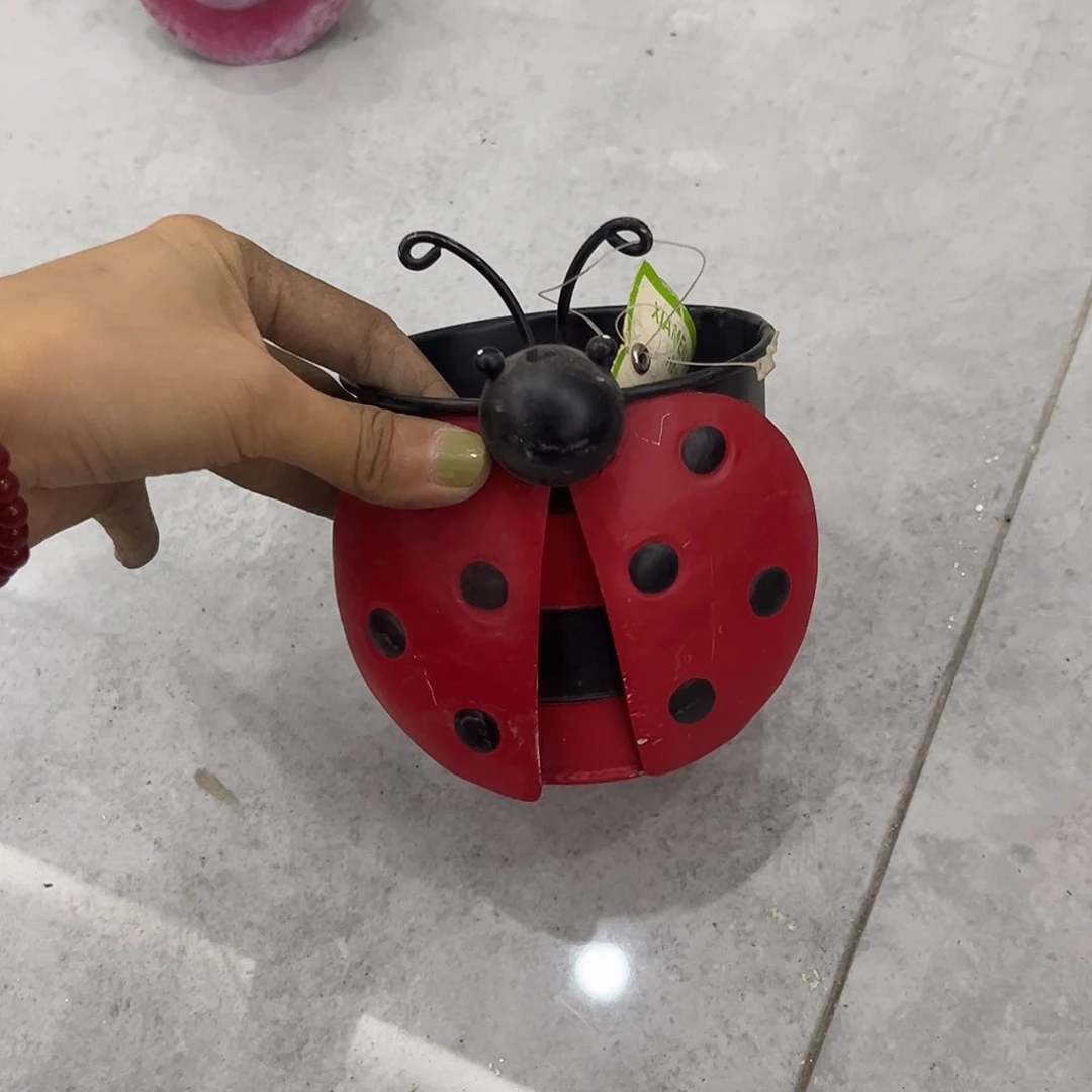 炸炸炸哈哈哈哈哈