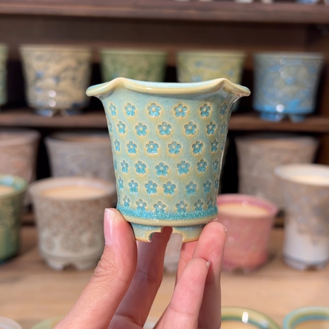 瓷片DY0117-049xxs一组一个