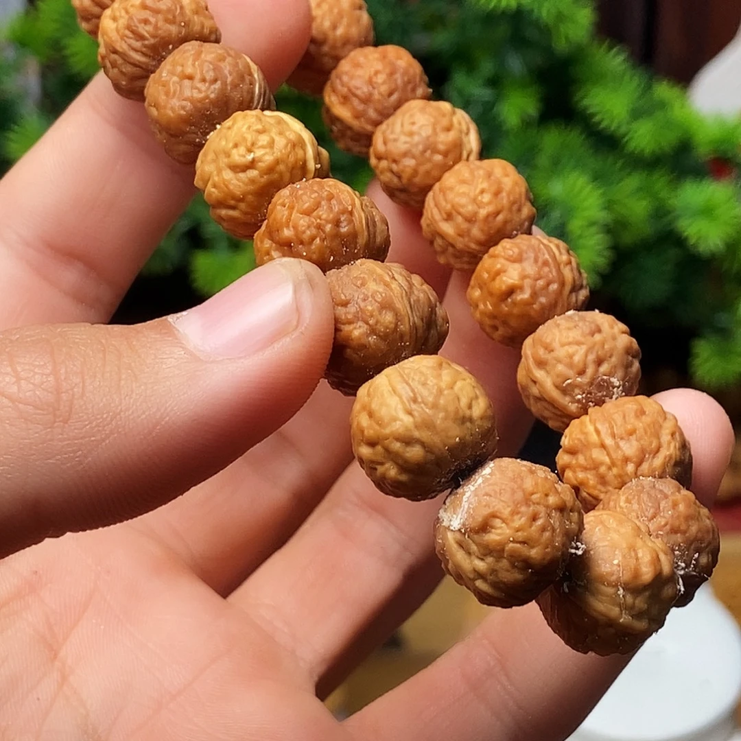 x***e手串/手链橄榄核bbhbbhhbjhhhhhhhhbhhbbbn