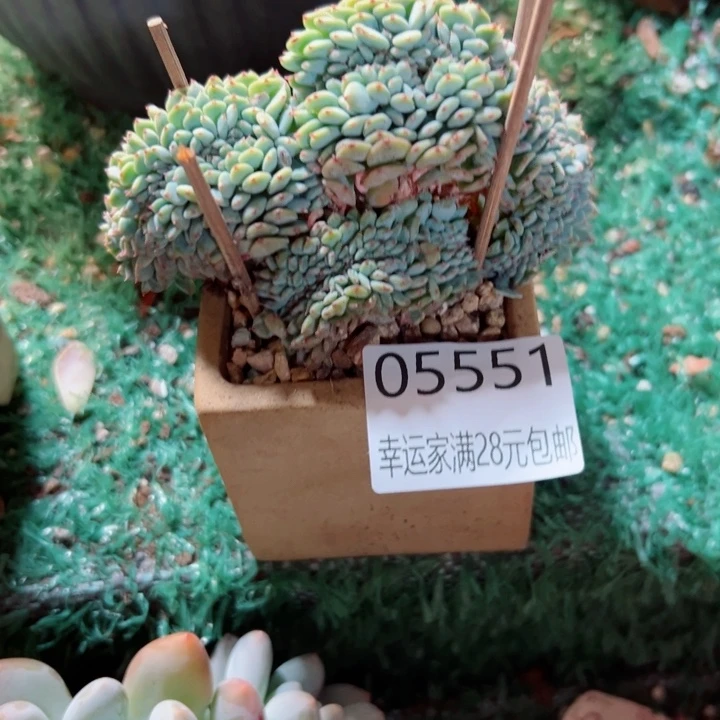 幸运的是我还没遇到
